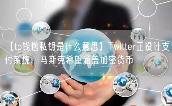 【tp钱包私钥是什么意思】Twitter正设计支付系统，马斯克希望涵盖加密货币(图1)