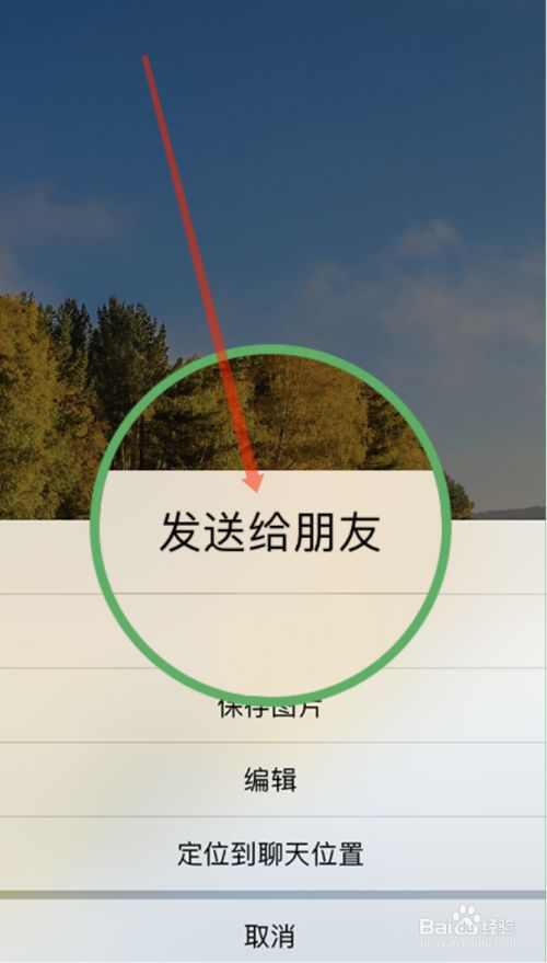 属于是哪个符号_whatsapp是属于什么_属于是是什么意思