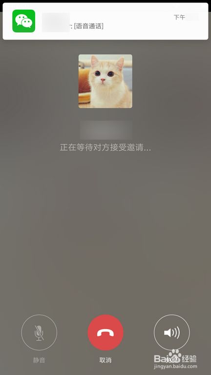 whatsapp是免费的吗_whatsapp是属于什么_属于是哪个符号
