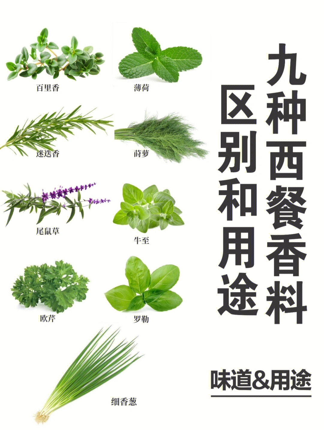 什么的气息_虚空之气息和业火之气息_气息是什么意思