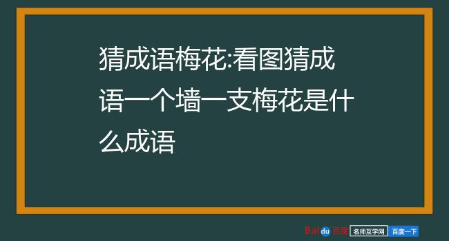 梅开二度是什么意思梗_梅开n度_小说梅度三开
