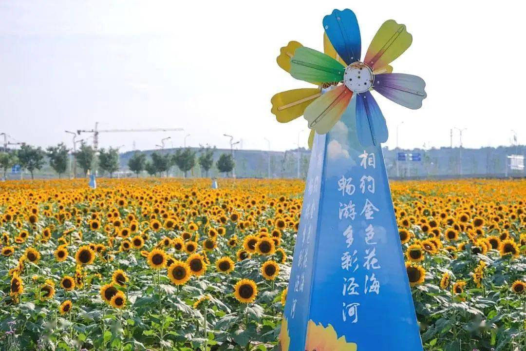 农场游乐开心园怎么玩_农场游乐开心园在哪里_游乐园开心农场