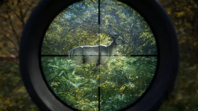 射击游戏_射击场实弹射击_什么的射击