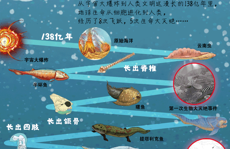 生命简史_生命简史怎么样_《生命简史》