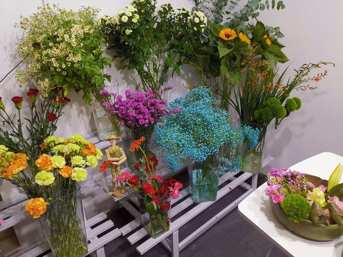花堂_堂花一现_堂花烟花