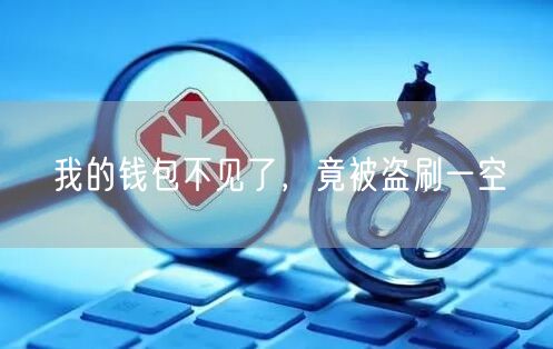我的钱包不见了，竟被盗刷一空(图1)