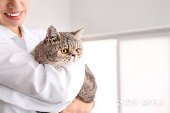 猫爪app官网_猫爪app_猫爪app怎么没了