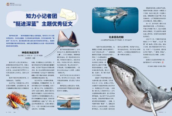 神奥御三家种族值_神奥御三家_神奥御三家进化图