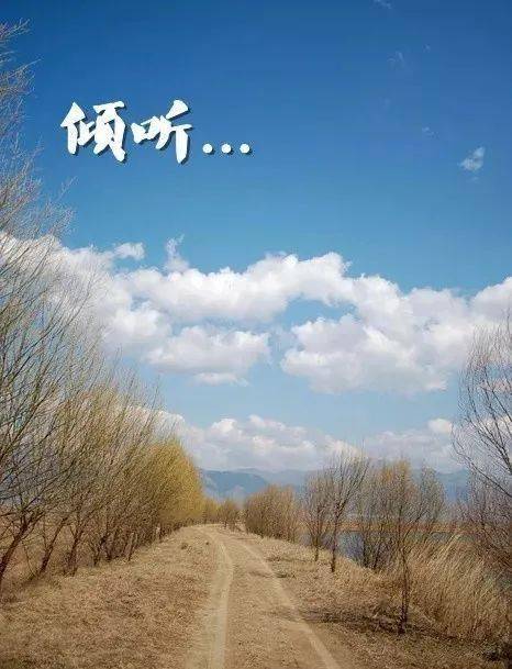 泡女达人游戏_泡妞达人_泡妞达人破解版闪退为什么