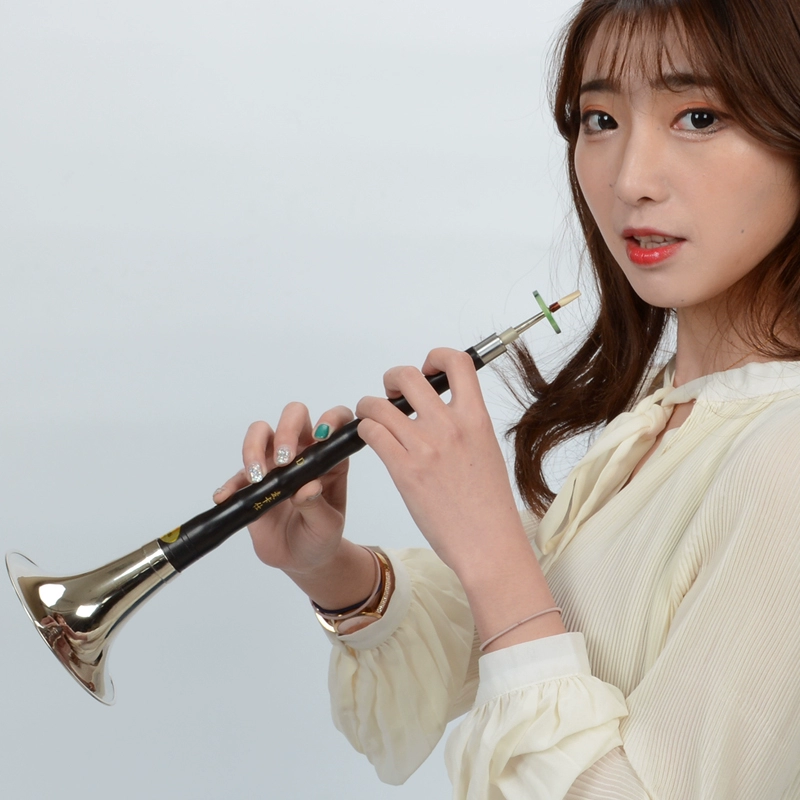 喇叭吹奏视频_喇叭吹奏的歌曲_喇叭吹奏手机游戏下载