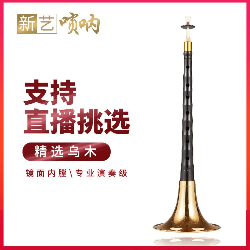 喇叭吹奏视频_喇叭吹奏的歌曲_喇叭吹奏手机游戏下载
