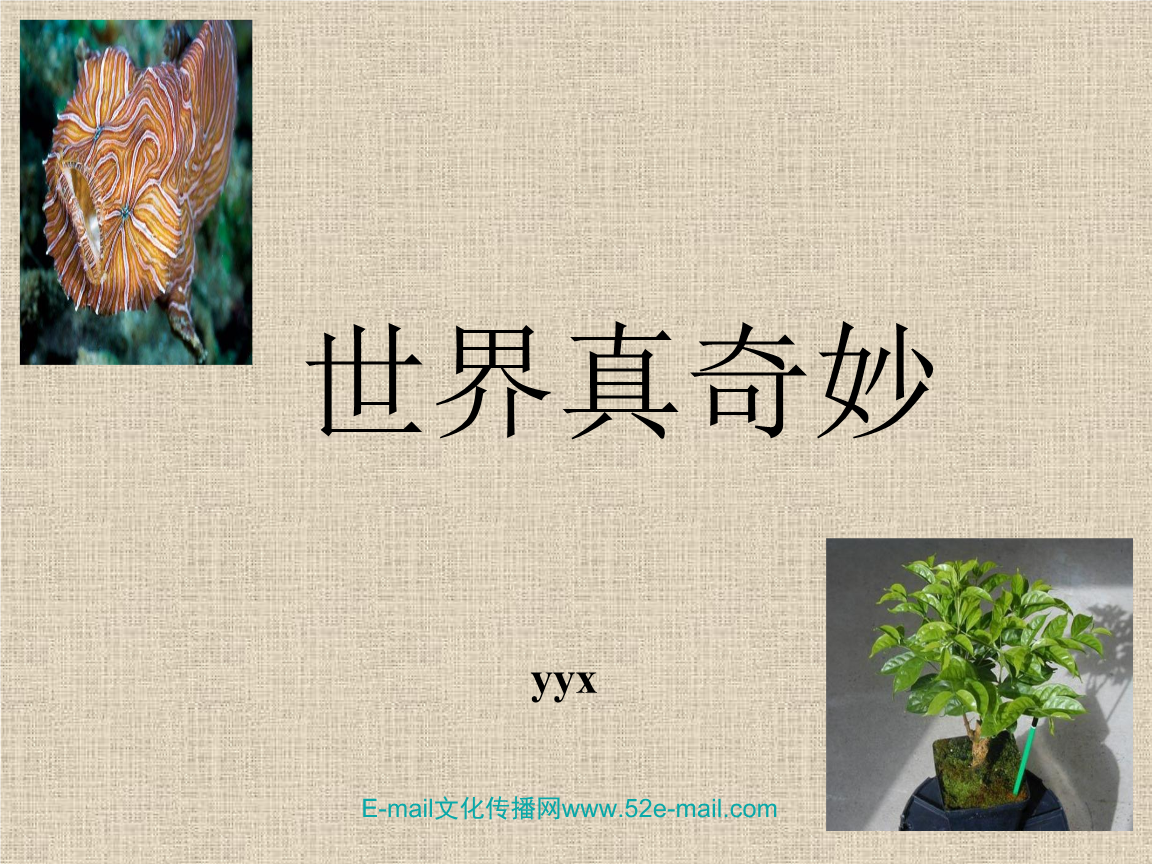折叠男孩_折叠的游戏_男子打游戏手机变折叠了