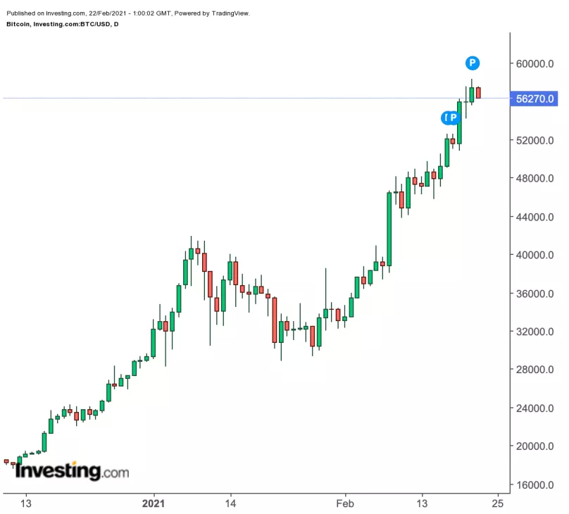 tp钱包怎么看新币行情_币行情分析软件_新币行情软件