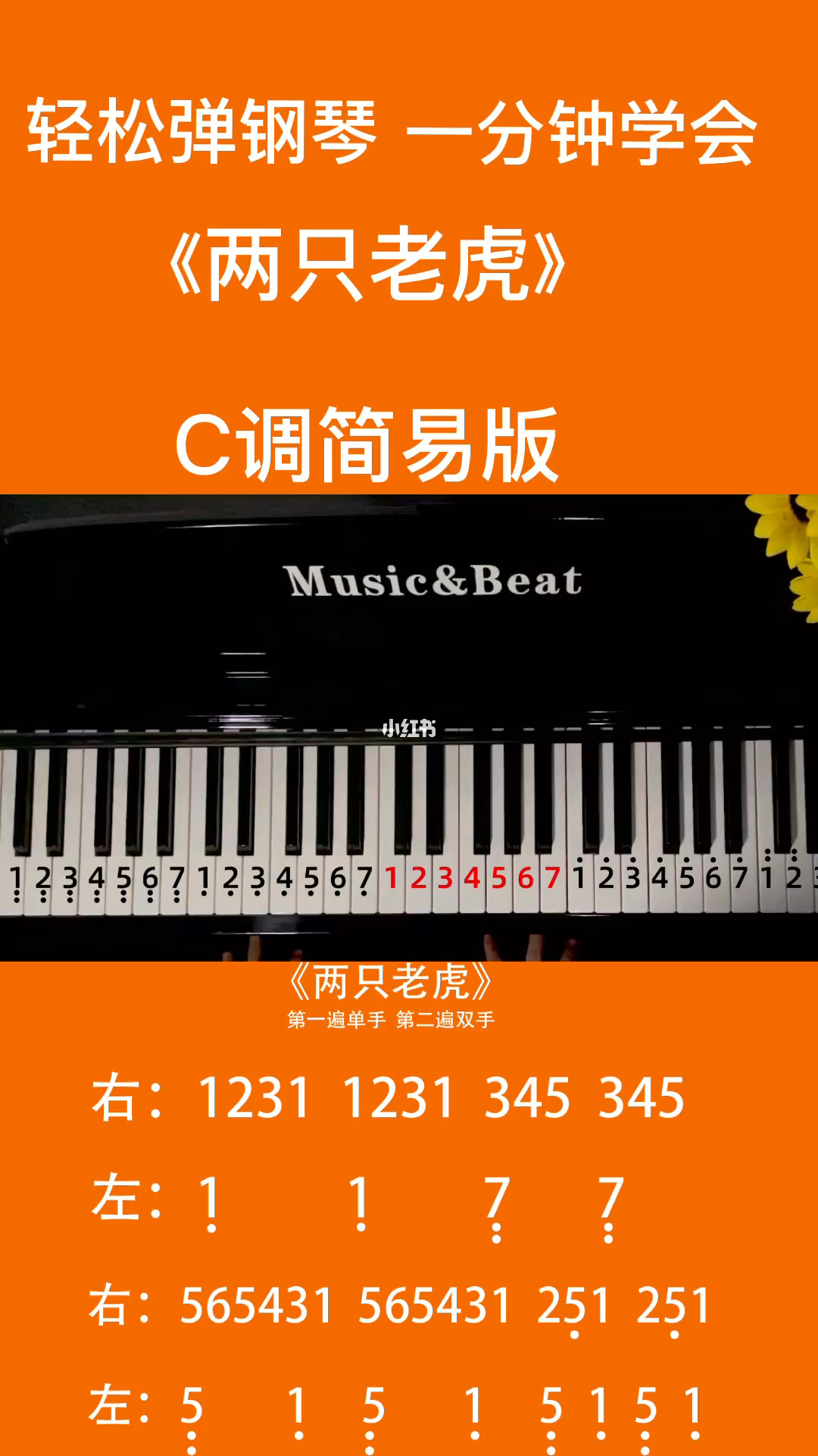老虎钢琴手机游戏怎么玩_两只老虎钢琴手机游戏_小老虎用钢琴怎么弹