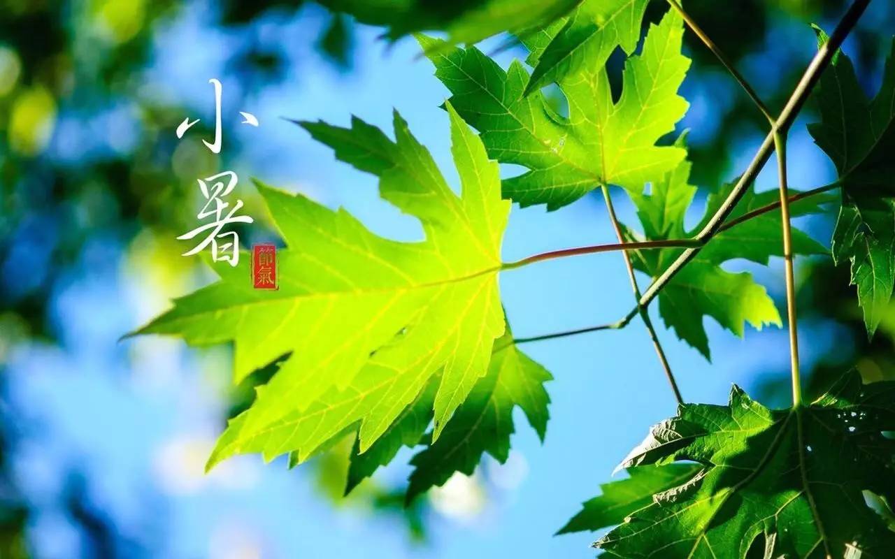 小暑号是什么意思_小暑是几月几号几时_小暑是几月几号