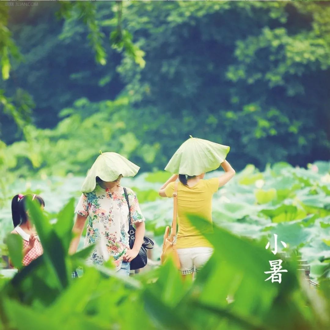 小暑是几月几号几时_小暑号是什么意思_小暑是几月几号