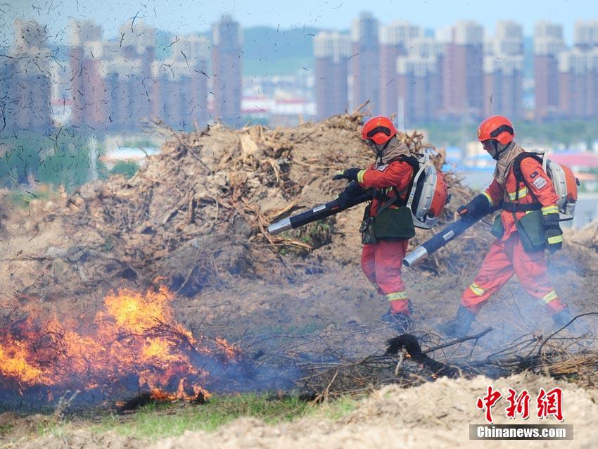 救援类游戏大全_救援手机游戏_救援手机游戏有哪些