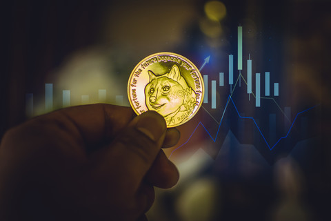 tp钱包 狗狗币网络_狗币tp钱包_dogecoin狗狗币钱包