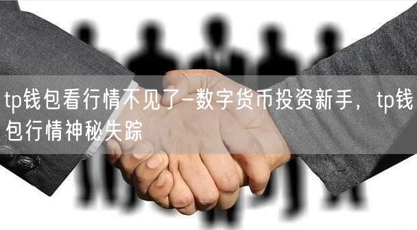 tp钱包看行情不见了-数字货币投资新手，tp钱包行情神秘失踪(图1)