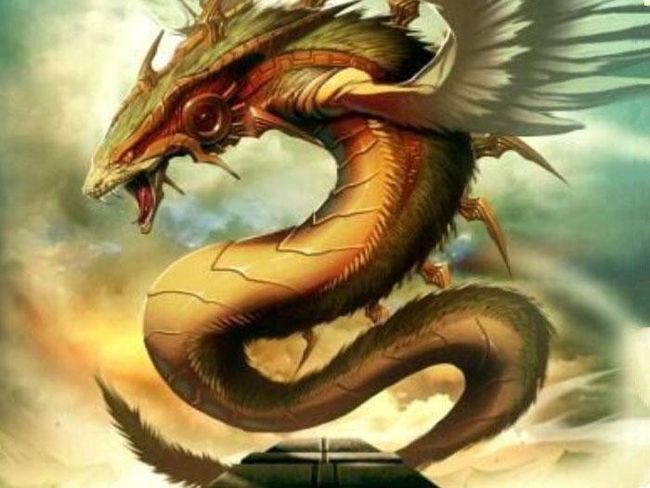 头龙果是寒凉的吗_头龙果吃了有什么好处_九头龙