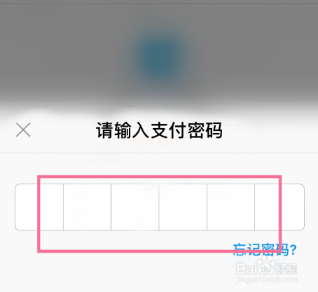 tp钱包忘记支付密码_钱包支付密码已锁定怎么重置_钱包的密码