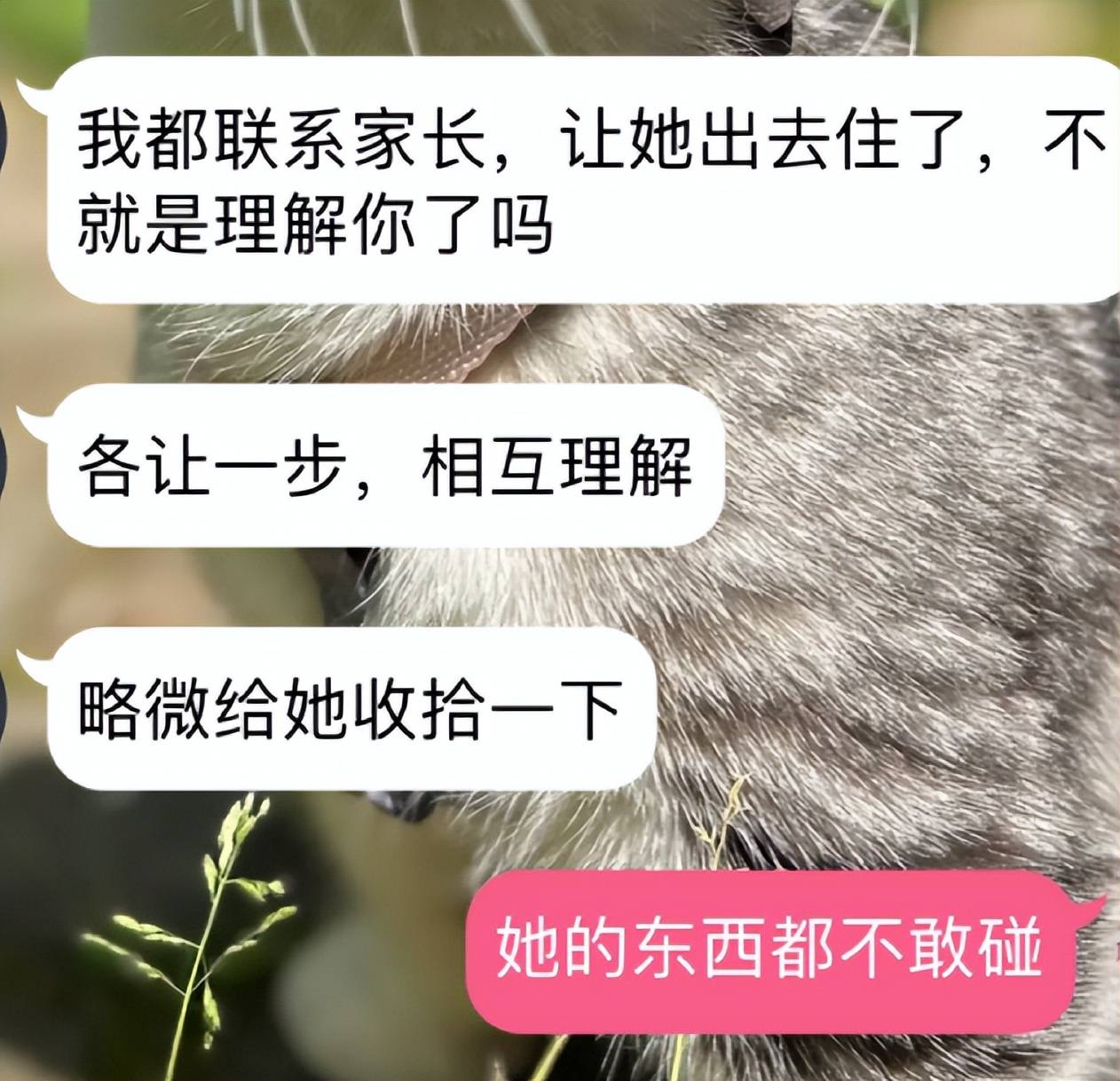 eth转账转错地址_bnb转错地址_imtoken转错地址怎么办
