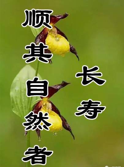 友情破颜拳最爱打哪里_友情破颜拳_破颜拳
