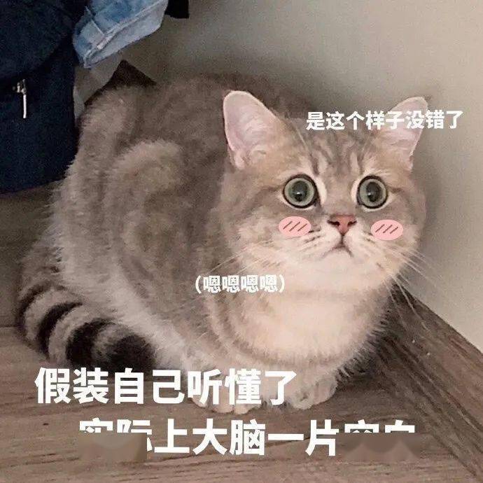强尼好感度对话_强尼好感度卡60_强尼好感度60补救