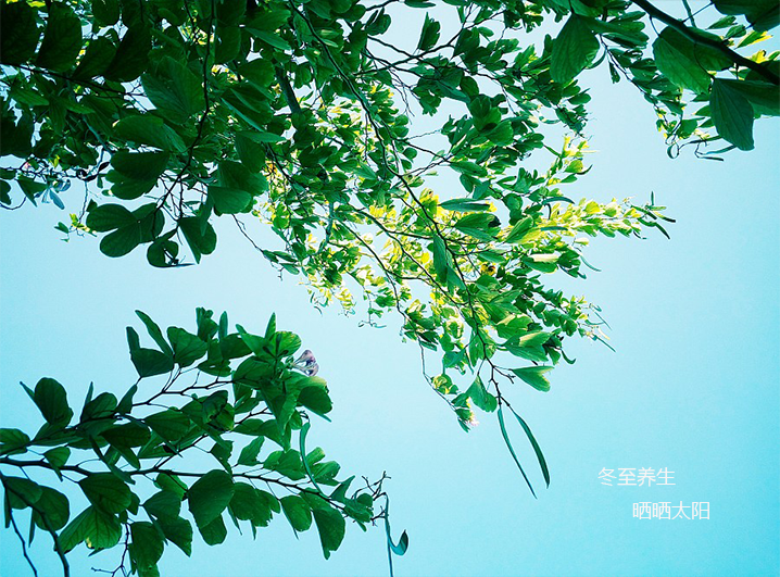 冬至日日照_日照冬至日日照要几个小时_日照冬至日是几点到几点
