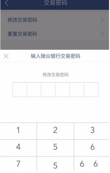 钱包交易密码是什么意思_怎么修改钱包锁手势密码_im钱包怎么修改交易密码