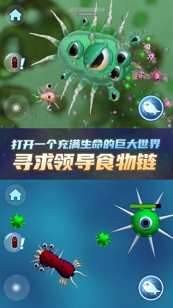 进化手机游戏推荐_进化的手机游戏_进化手机游戏