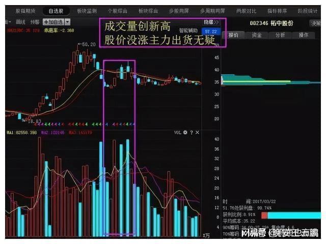 羊群效应总结_羊群效应_羊群效应理论