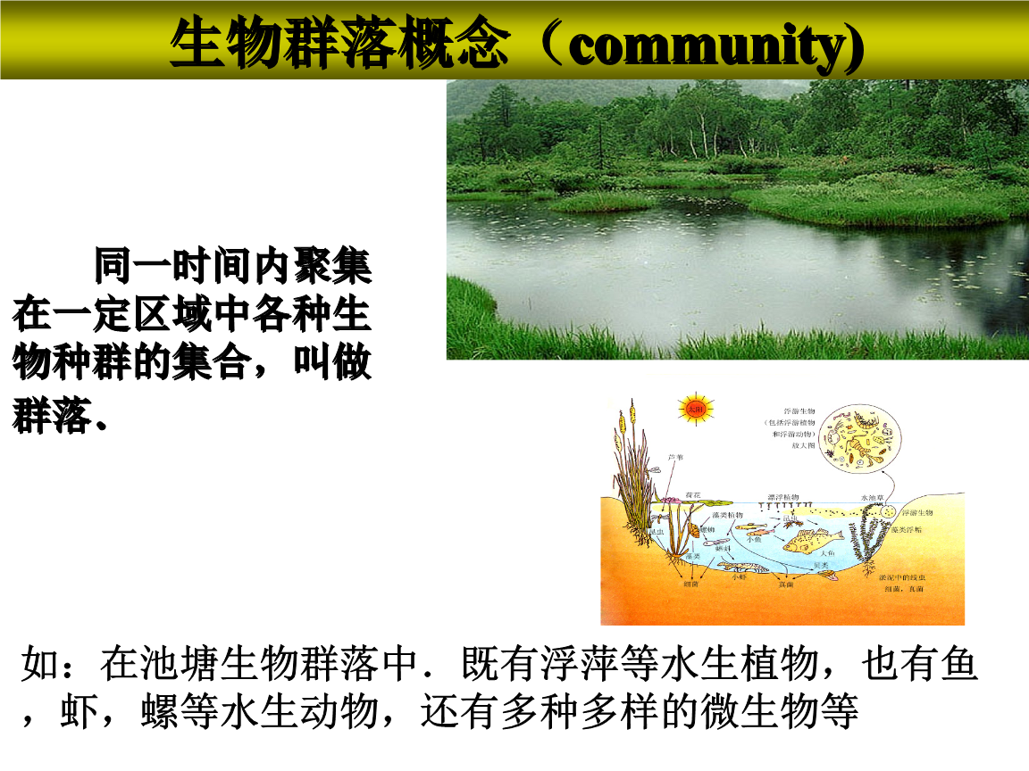 动物学家用英文怎么说_动物的家教_动物学家
