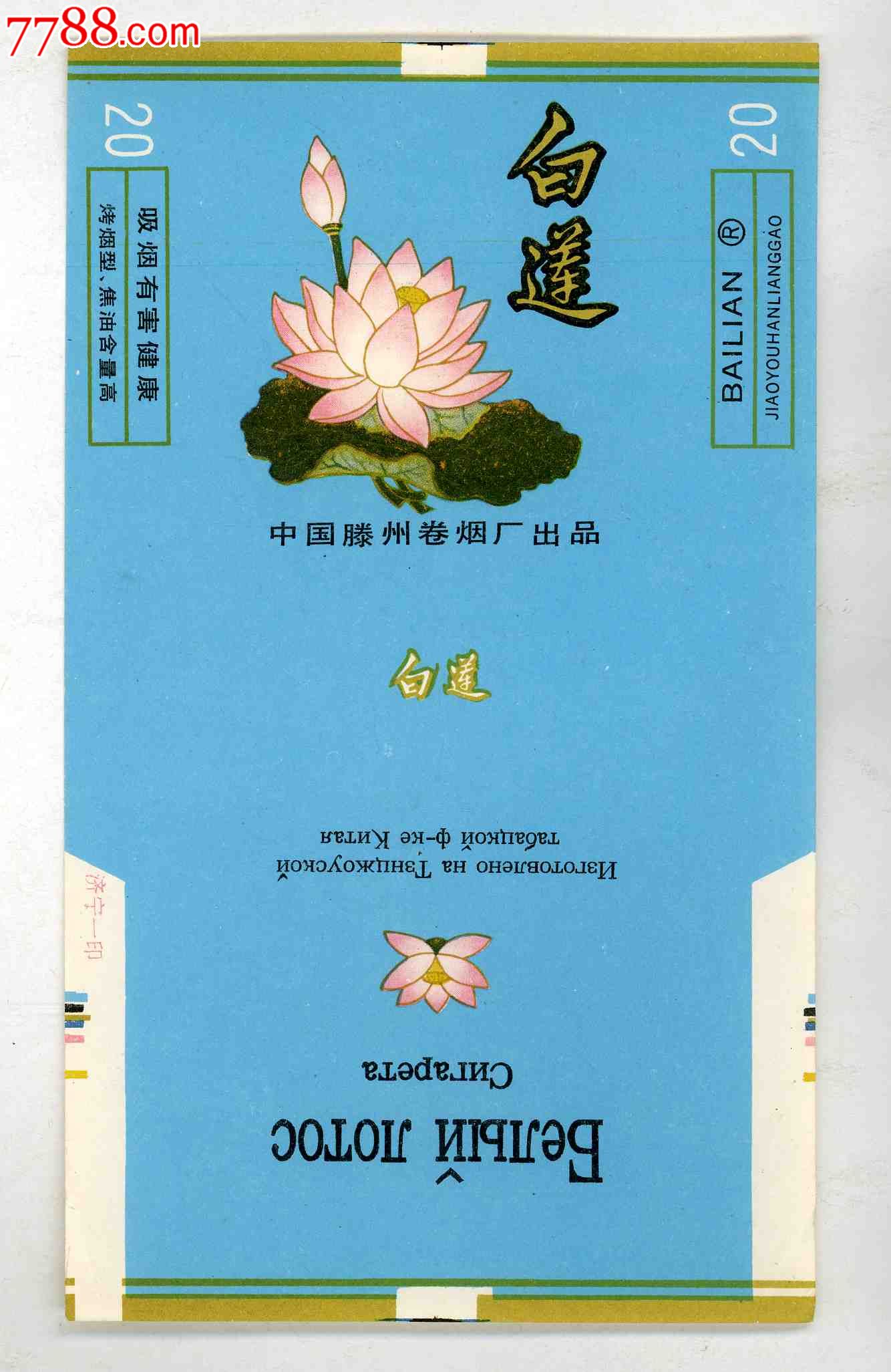 圣白莲_圣白莲现在的种族是_圣白莲图片