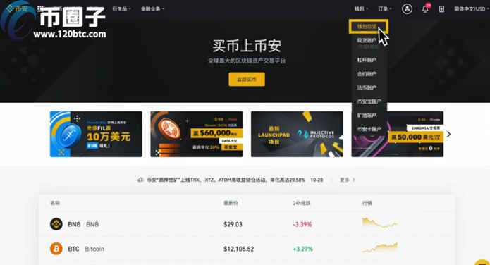 im钱包怎么用币安链_币钱包怎么用_钱包区块链