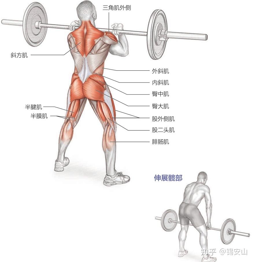 肌肉女游戏下载手机_肌肉游戏大厅_肌肉游戏