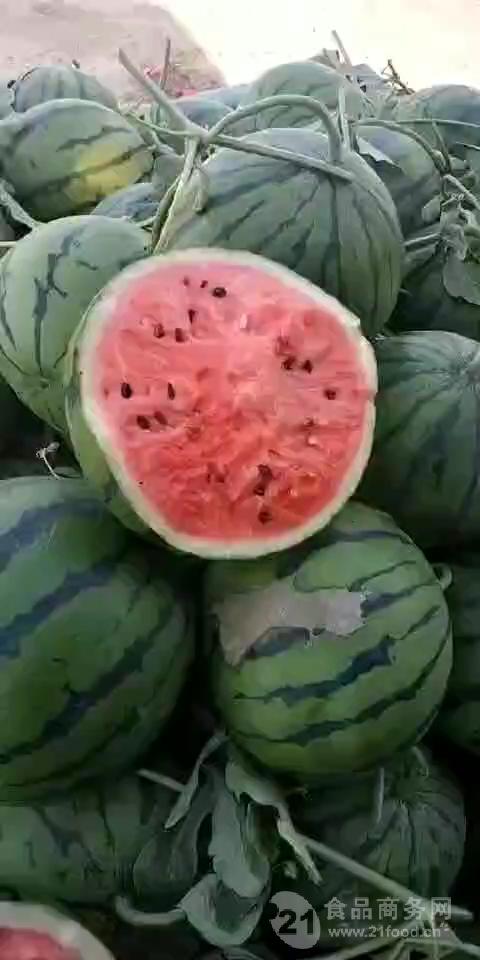 西瓜投手_西瓜投手简笔画_西瓜投手图片