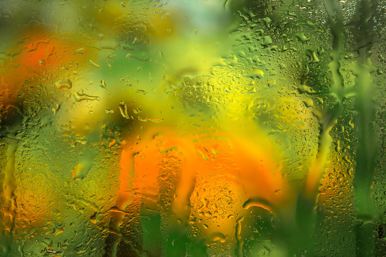 今天的雨_雨今天什么时候停_雨今天天阴