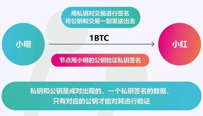 钱包删除了_TP钱包不小心删了_tp钱包不小心删了