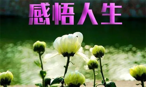 今日时间日期农历_今日时间水印相机下载_今日时间