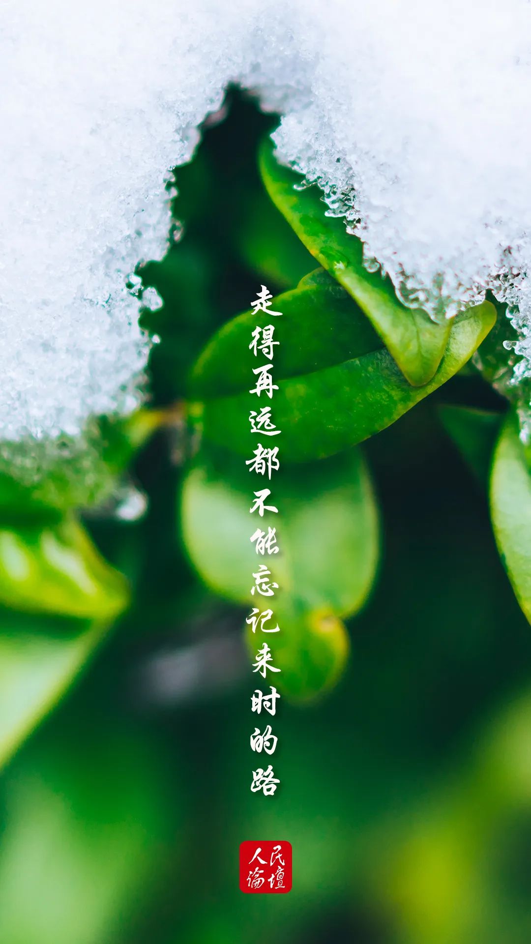 今日时间日期农历_今日时间水印相机下载_今日时间