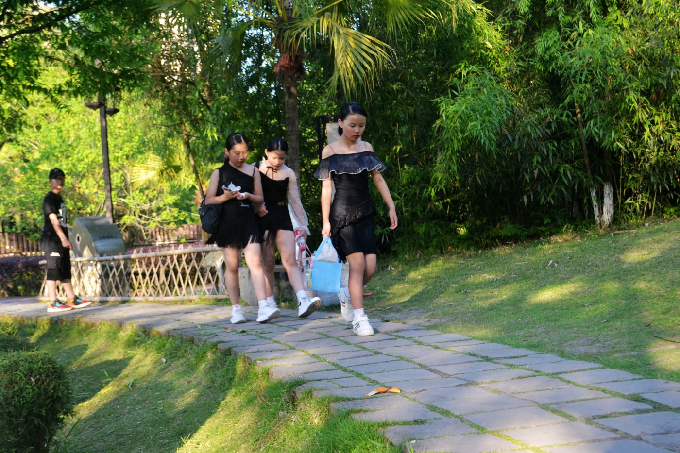 拉屎的手游_可以拉屎的单机游戏_拉屎游戏手机