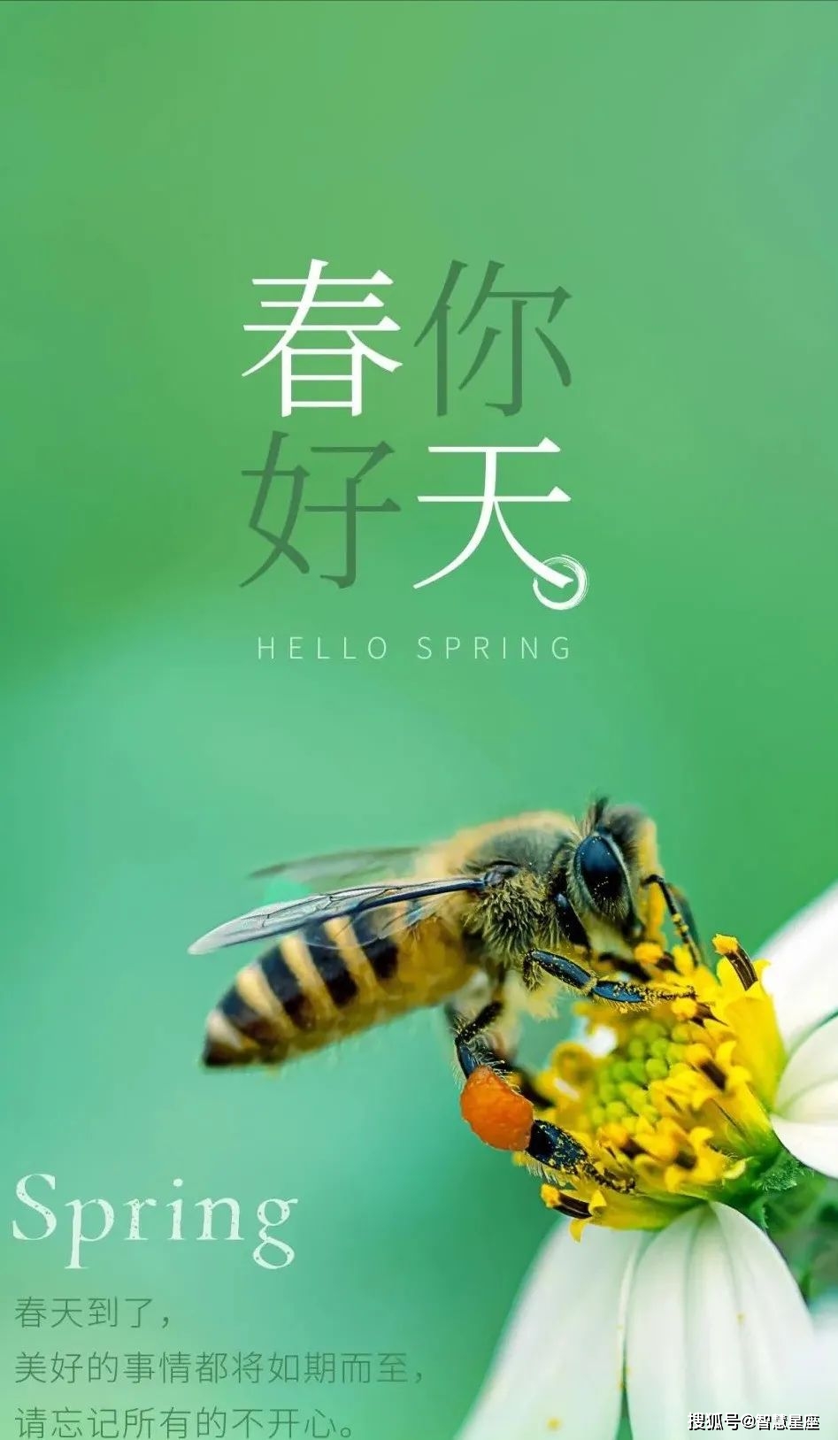 日历表年历_2023年日历表_日历表年份