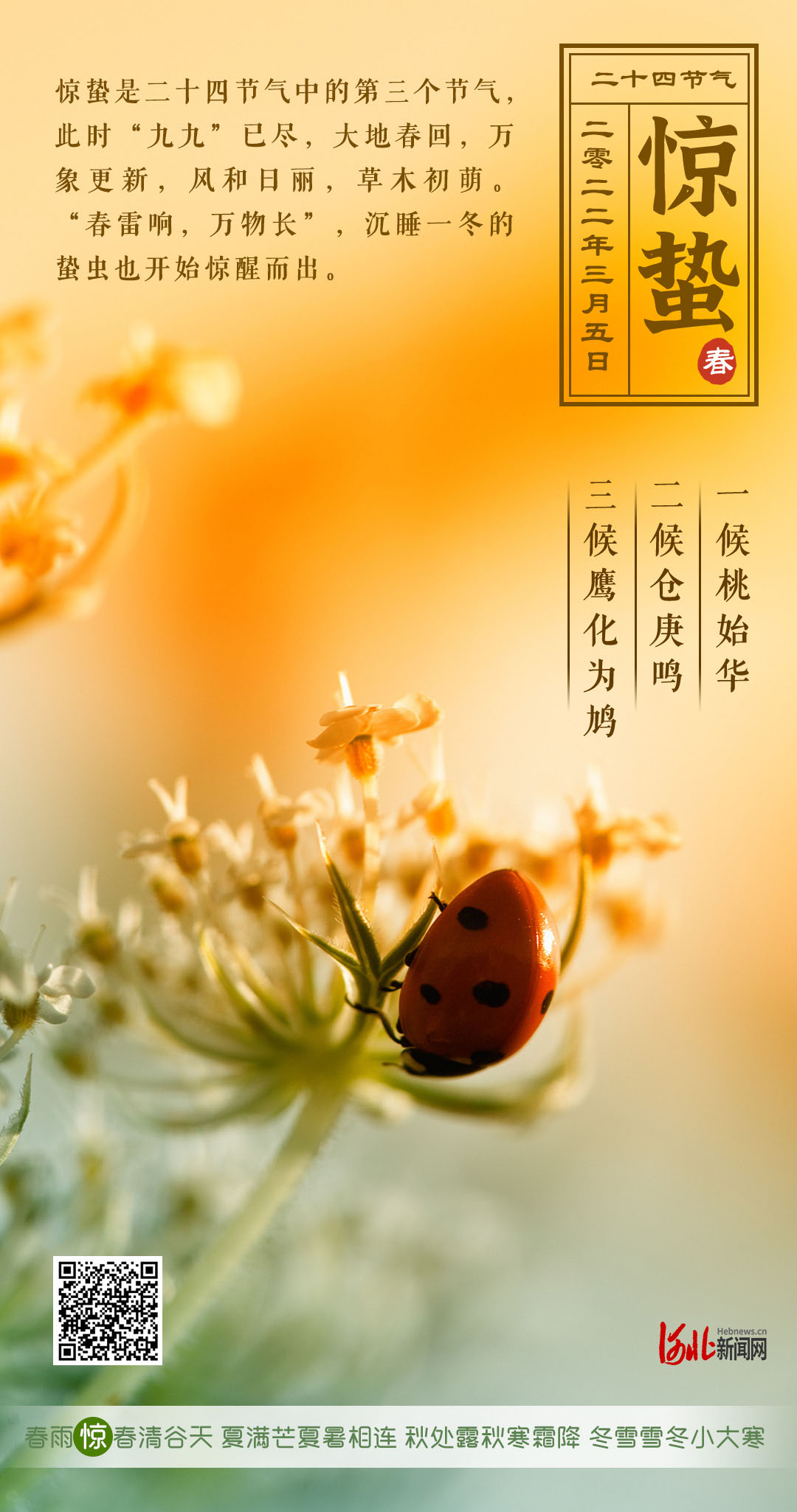 24节气顺序表时间_二十四节气时间表_2024十二节气表时间