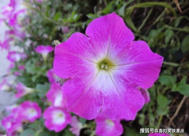 无效地址限制规则_imtoken地址无效_无效地址限制规则校验不通过