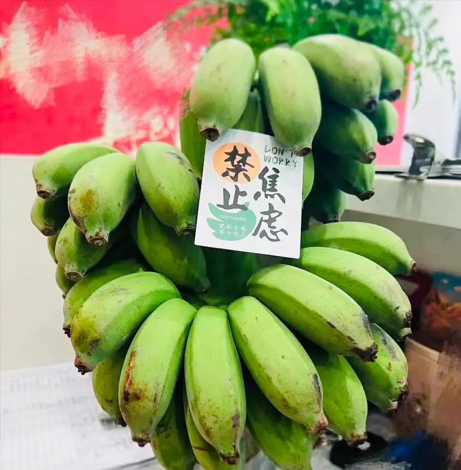 imtoken有ios版吗_imtoken中国特别版_tiktok海外版中国