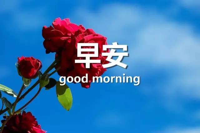 书拉密女小站如何下载_书拉密女是什么意思_拉密