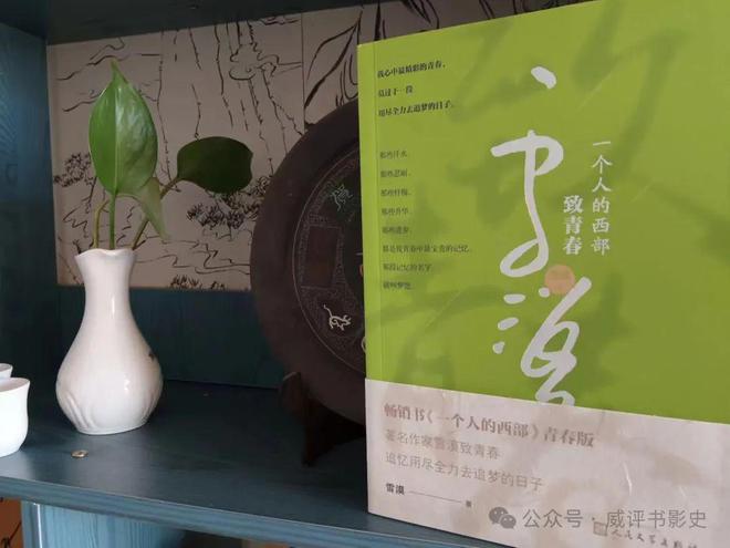 回合游戏手机单机游戏_手机单机回合策略游戏_游戏单机回合手机推荐