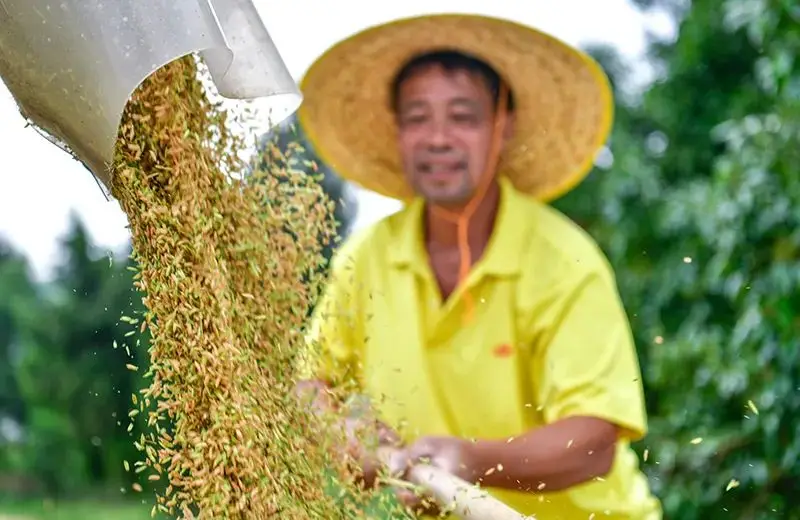 im钱包能转到tp钱包吗_支付宝可以转到微信钱包吗_qq钱包能转到微信吗