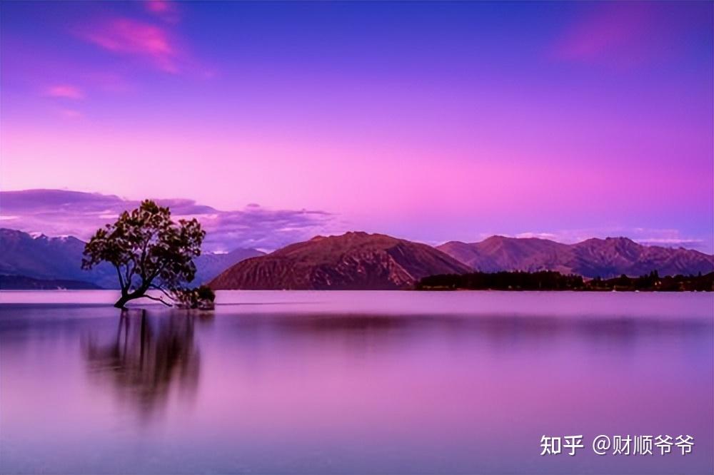韭菜公社_韭菜公社百度百科_韭莱公社